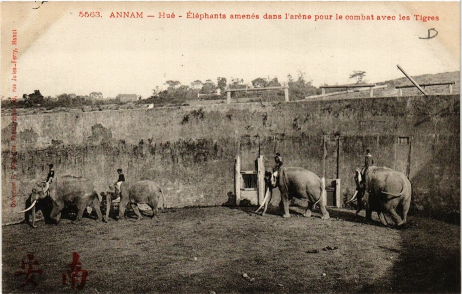 Hổ Quyền